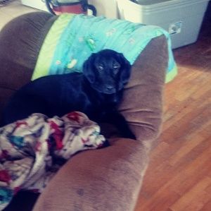 Meet your Posher, Morgan